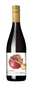 Червено вино Бергуле Мелник и Пино Ноар, Вила Мелник